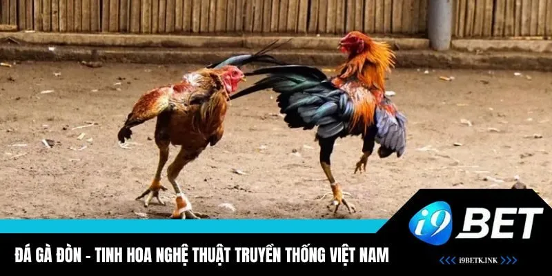 Đá Gà Đòn